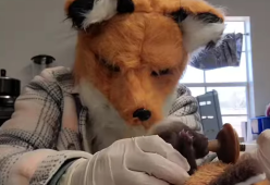 Veterinaria si traveste da volpe per allattare un cucciolo: video