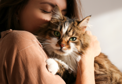 Il mito del gatto indipendente: svelato il legame con il padrone