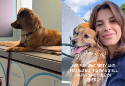 La Canalis adotta un cane: “Abbandonato come una scarpa vecchia’’