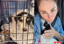 La famiglia Mazzoli si allarga: è arrivata una nuova cagnolina