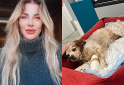 Alba Parietti, incidente con il suo cagnolino: "Sono tristissima"