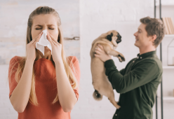 Allergie agli animali (non solo domestici): perché stiamo male?