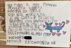 Perde il suo peluche al mercato e scrive un cartello per ritrovarlo