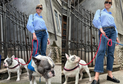 Federica Pellegrini, passeggiata con scorta speciale: i suoi bulldog