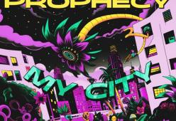 My City