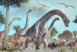 Trovate impronte di dinosauri raptor come in Jurassic Park