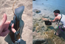 Salmo compra un’aragosta al ristorante: “L’ho liberata in mare”