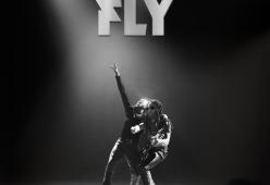 Fly
