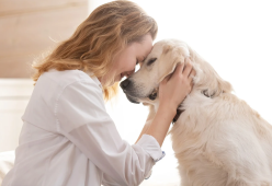 La personalità del padrone influenza quella del cane: lo studio