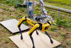 Inventato un cane robot in grado di estirpare le erbacce: il video