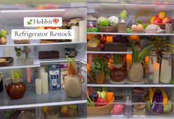 Fridgescaping: la nuova tendenza TikTok che arreda i frigoriferi