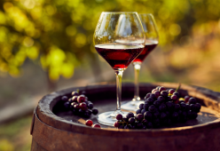 Modella vende vino fatto con uva schiacciata con i suoi piedi