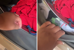 “Calzini scomparsi in lavatrice? Ecco dove vanno a finire”