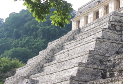 Scoperta una città Maya nascosta: il merito va a uno studente
