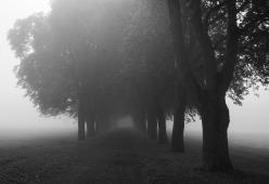 Si perde nel bosco per un mese: “Ecco come sono sopravvissuto”
