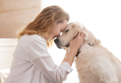 Esistono 3 tipologie di proprietari di cani: lo rivela la scienza