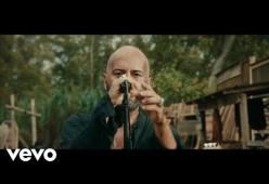 Negramaro - Marziani