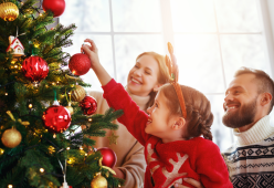 Albero di Natale: ecco i migliori trend del 2024 per decorarlo