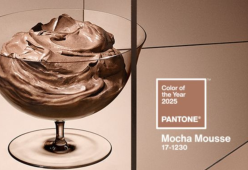 Il colore dell’anno 2025 per Pantone è il Mocha Mousse 17-1230