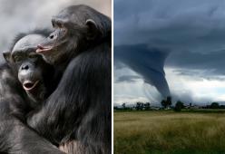 Misteri rimasti senza risposta: eventi che nessuno riesce a spiegare