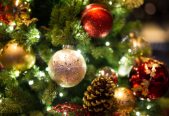 Smontare l’albero di natale? I motivi per cui è difficile farlo