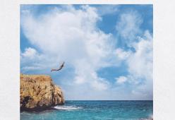 Chasing Paradise 