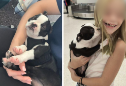 La storia di una bimba e un cane con labbro leporino commuove il web