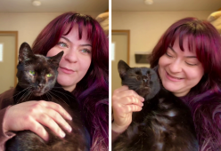 Gatto abbandonato perché “troppo affettuoso”: il video commovente