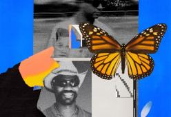 Butterflies