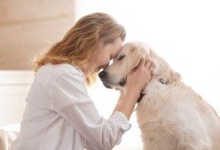 Il tuo cane è felice con te? Ecco 10 segnali per capirlo davvero