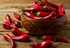Pepper X, il peperoncino da record: “Il cibo più piccante mai creato”

