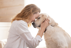 Stress nei cani? Ecco i segnali (spesso ignorati) razza per razza
