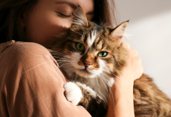 Non sottovalutare le fusa dei gatti: fanno bene anche alle ossa