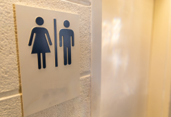 Perché c’è sempre più fila nei bagni femminili? Il motivo scientifico