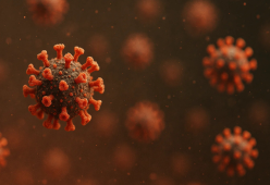 Nuova variante Covid LP.8.1: i sintomi e l’efficacia dei vaccini