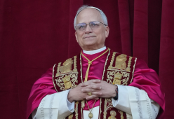 Papa Leone XIV e Madonna sono cugini? La scoperta inaspettata