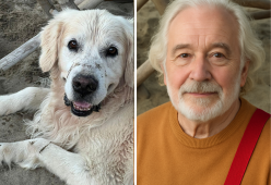 Usciresti con l’IA del tuo cane? Non sei solo, lo dice un sondaggio
