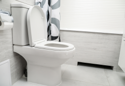 Eviti la candeggina nel bagno: perché gli esperti sconsigliano l’uso
