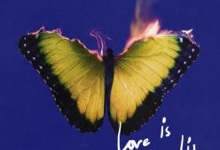 Love Is Like
