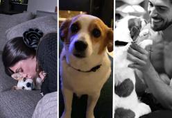 Cecilia Rodriguez e Ignazio Moser in lutto: è morto il cane Aspirina 
