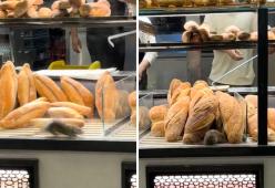 Topo scorrazza tra i panini nella vetrina di un panificio: il video