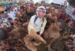 Tyler Oliveira e il “festival della cacca”: “Non ci tornerò mai più”