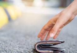 Riceve lo stipendio di tutti per errore e decide di tenerselo