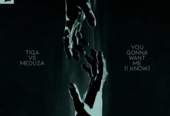 You Gonna Want Me (I Know) 