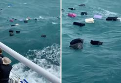 Valigie finiscono in mare durante la traversata in traghetto: video