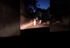 La Polizia insegue un uomo travestito da T-Rex: il video comico