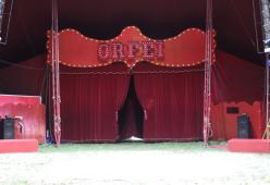 Circo fermo in Veneto, l’appello della famiglia Orfei: “Aiutateci, serve cibo per gli animali”