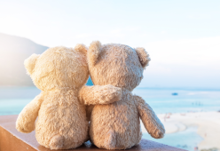 L’agenzia viaggi che organizza le vacanze per i peluche