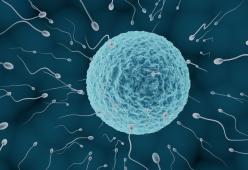 Tecnologia: ecco l’ultima frontiera della fecondazione