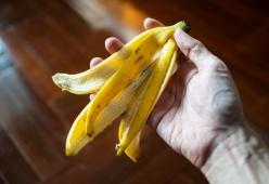 I medici ai maschietti: "Evitare bucce di banana per la masturbazione"